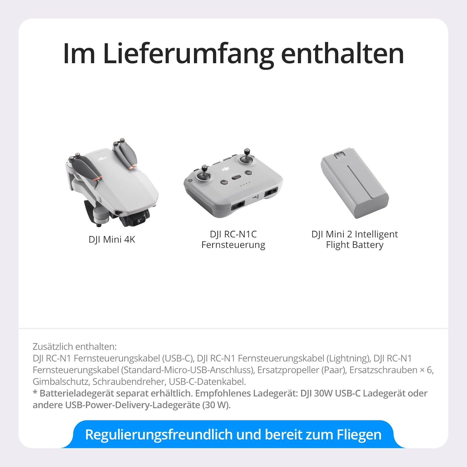 Pasted Image